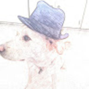 Meet your Posher, Caitlin